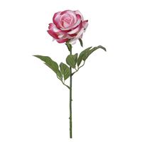 Rose lyserødmix 60 cm
